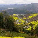 黄山旅游 缩略图 3