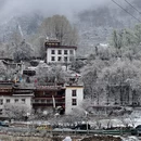 甘孜旅游 缩略图 17