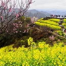 黄山旅游 缩略图 6