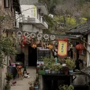 黄山旅游 缩略图 16