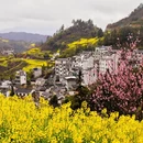 黄山旅游 缩略图 9
