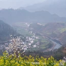 黄山旅游 缩略图 5