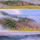 黄山旅游 缩略图 3
