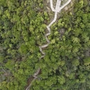 黄山旅游 缩略图 3