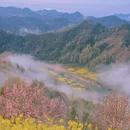 黄山旅游 缩略图 7