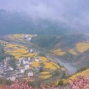 黄山旅游 缩略图 8