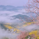 黄山旅游 缩略图 6