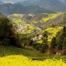 黄山旅游 缩略图 1