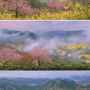 黄山旅游 缩略图 5