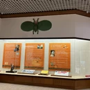 潍坊旅游 缩略图 10