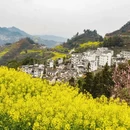 黄山旅游 缩略图 2