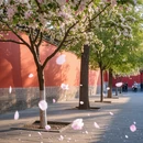 北京旅游 缩略图 6