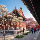 北京旅游 缩略图 12