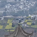 黄山旅游 缩略图 8