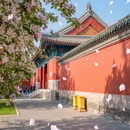 北京旅游 缩略图 7