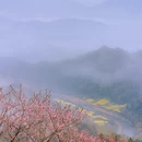 黄山旅游 缩略图 11