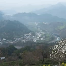 黄山旅游 缩略图 7