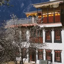 阿坝旅游 缩略图 6