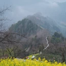 黄山旅游 缩略图 9