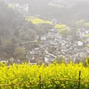 黄山旅游 缩略图 15