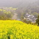 黄山旅游 缩略图 16