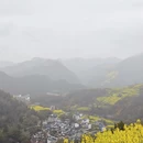 黄山旅游 缩略图 14