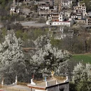 阿坝旅游 缩略图 11