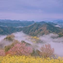 黄山旅游 缩略图 2
