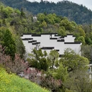 黄山旅游 缩略图 5
