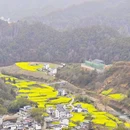 黄山旅游 缩略图 18