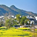 黄山旅游 缩略图 9