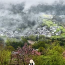 黄山旅游 缩略图 6