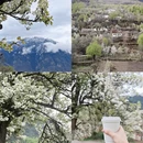 阿坝旅游 缩略图 1