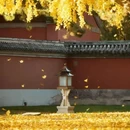北京旅游 缩略图 9