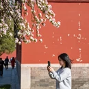 北京旅游 缩略图 8