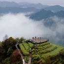 黄山旅游 缩略图 1