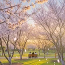 北京旅游 缩略图 5