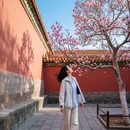 北京旅游 缩略图 3
