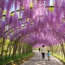 武汉旅游 缩略图 4