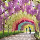 武汉旅游 缩略图 7