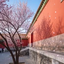 北京旅游 缩略图 5