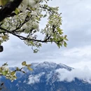 阿坝旅游 缩略图 4