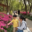 杭州旅游 缩略图 3