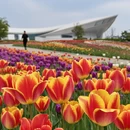 北京旅游 缩略图 6
