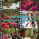 杭州旅游 缩略图 1