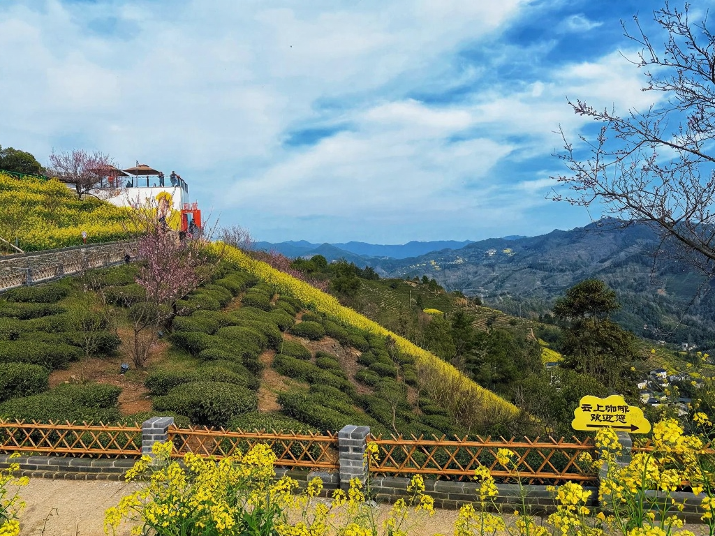 黄山旅游