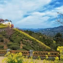 黄山旅游 缩略图 1