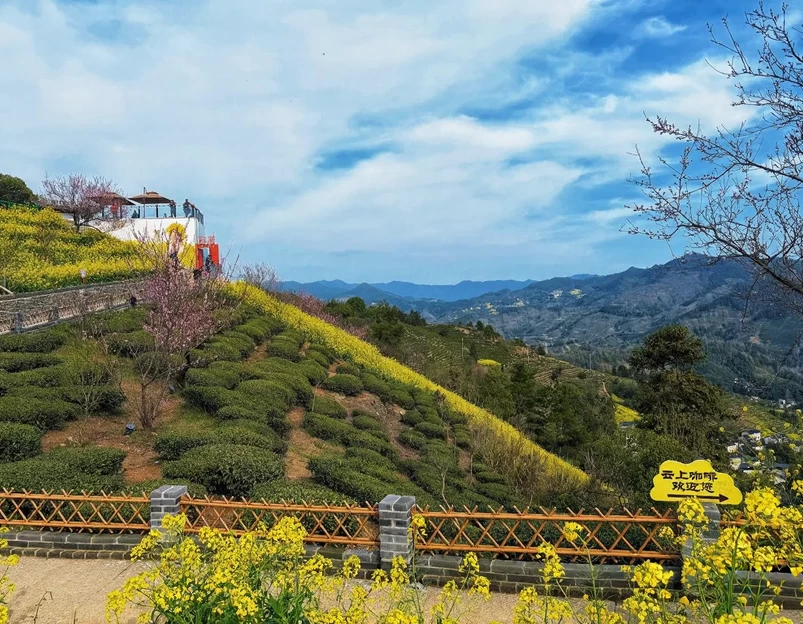 黄山旅游 1