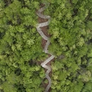 黄山旅游 缩略图 10
