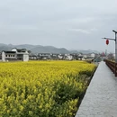黄山旅游 缩略图 16